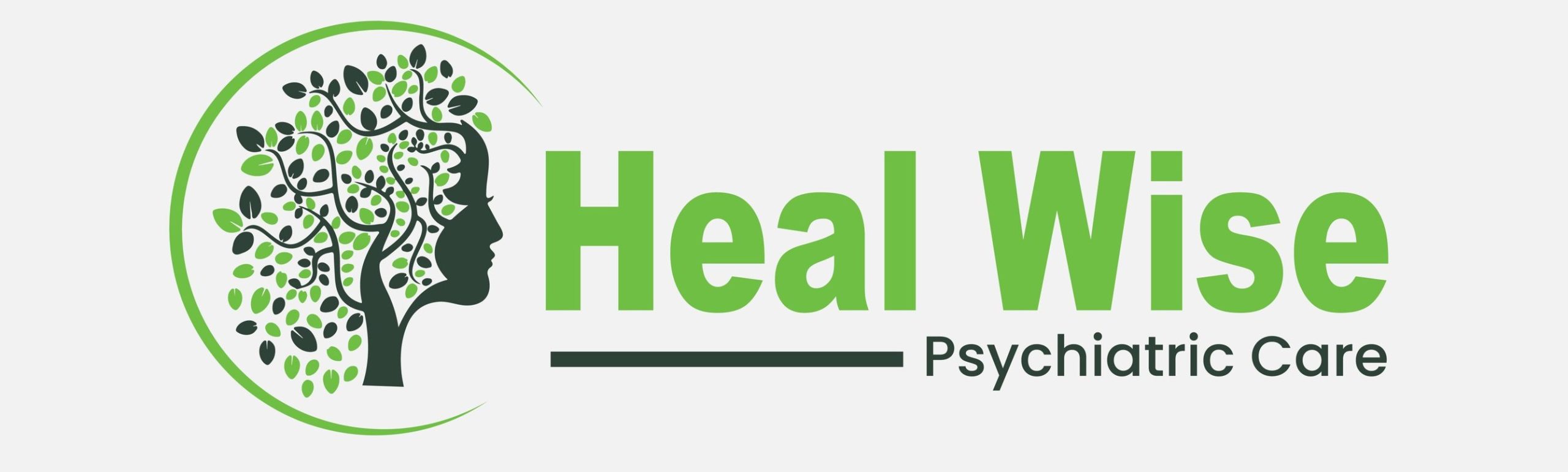 Heal Wise Psychiatric Care LLC